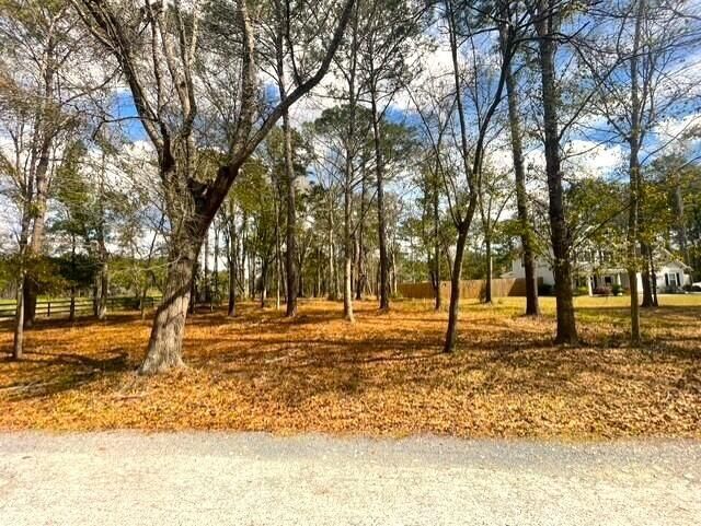 5565 Huckleberry Lane Photo 4