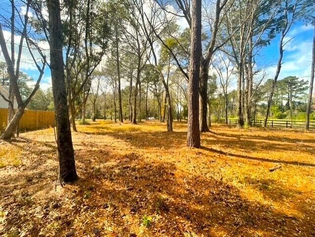 5565 Huckleberry Lane Photo 5