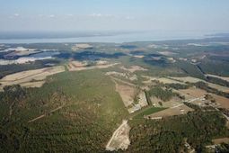 892 Pineland Road photo 4