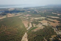 892 Pineland Road photo 4