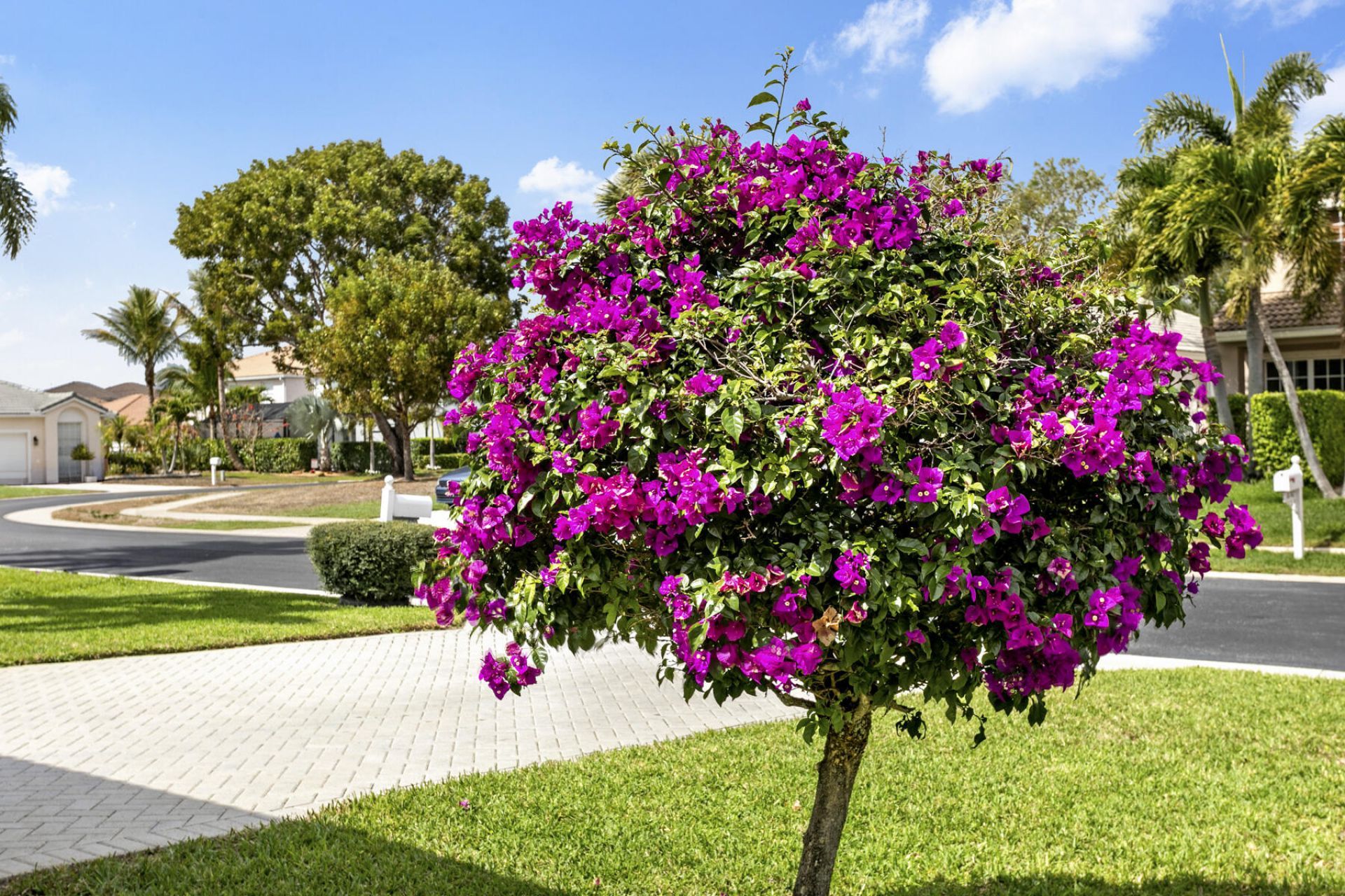 10748 Hidden Bend Way, Wellington, FL 33414 Photo