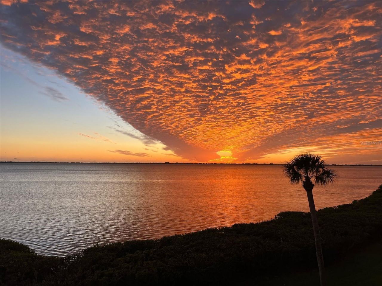 3420 Wild Oak Bay Boulevard, Unit 119, Bradenton, FL 34210 Photo