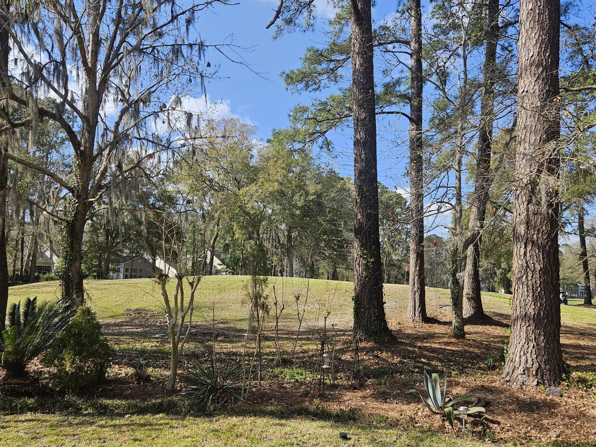 568 Pointe Of Oaks Road Photo 38