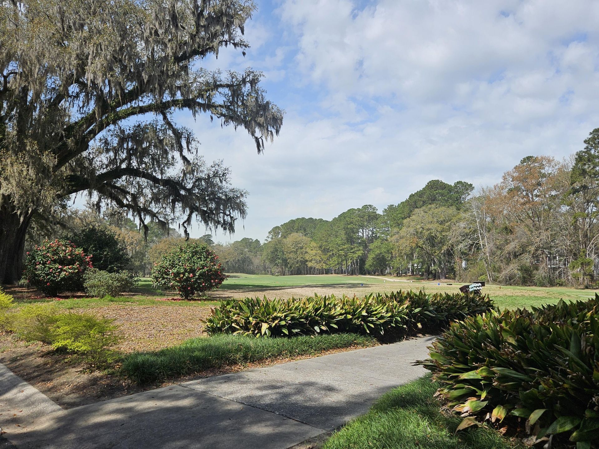 568 Pointe Of Oaks Road Photo 52