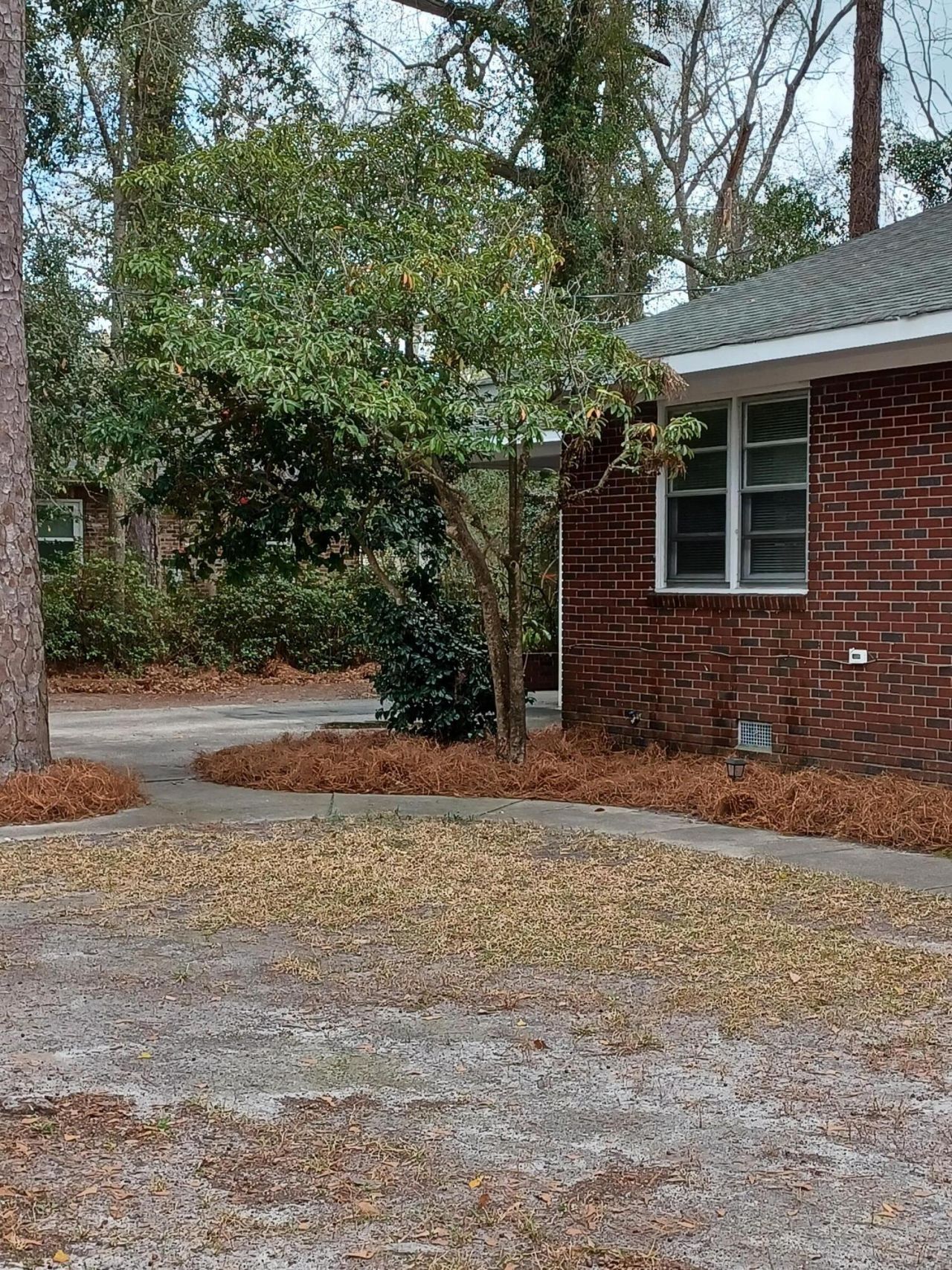 500 Hayne Street Photo 43