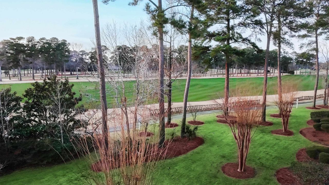 116 Cypress Point Photo 41