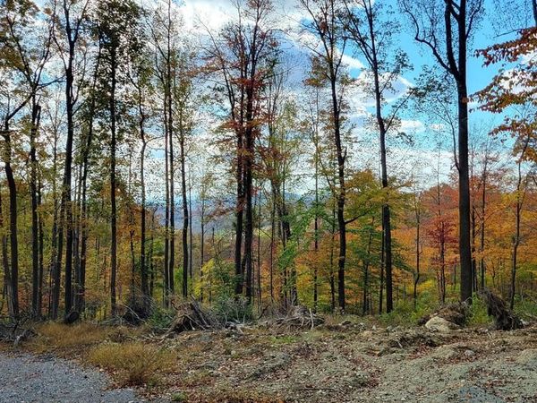 4460 MIDDLEPOINT ROAD, MYERSVILLE, MD 21773