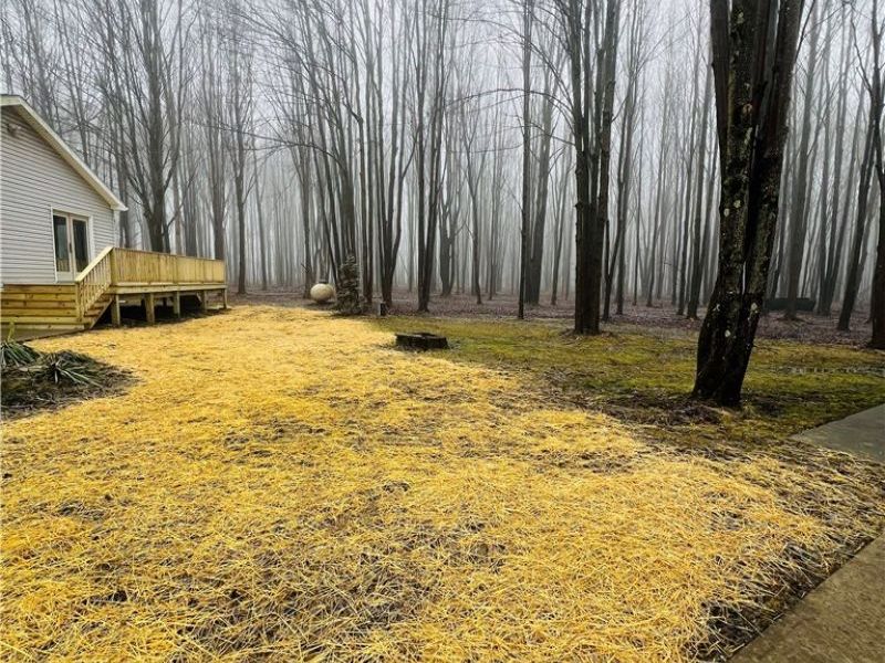 6453 Brandywine Drive, Andover, OH 44003 Photo 4