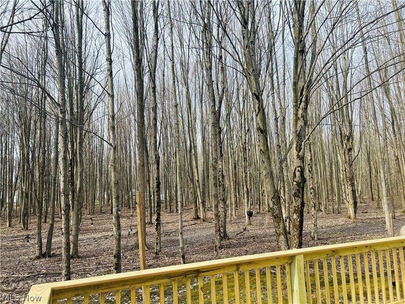 6453 Brandywine Drive, Andover, OH 44003 Photo 6