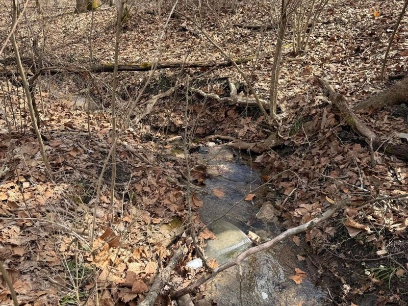 8900 Salem Road, Athens, OH 45701 Photo 11