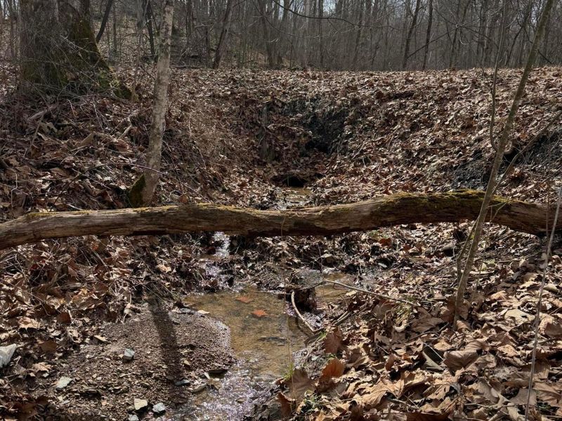 8900 Salem Road, Athens, OH 45701 Photo 12