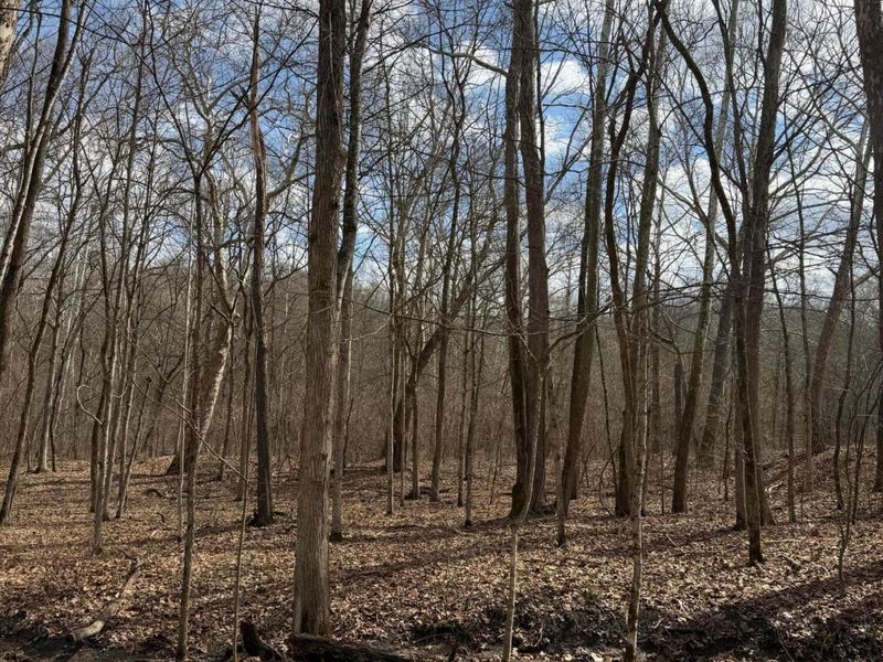 8900 Salem Road, Athens, OH 45701 Photo 15