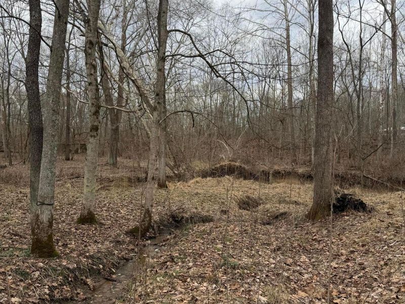 8900 Salem Road, Athens, OH 45701 Photo 16