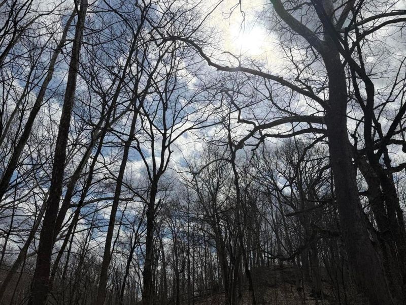 8900 Salem Road, Athens, OH 45701 Photo 16