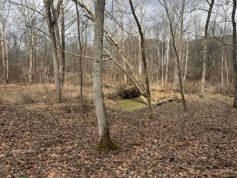 8900 Salem Road, Athens, OH 45701 Photo 17