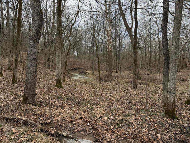 8900 Salem Road, Athens, OH 45701 Photo 18