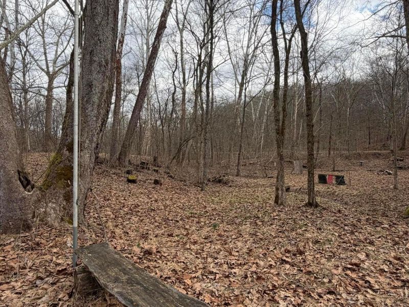 8900 Salem Road, Athens, OH 45701 Photo 24