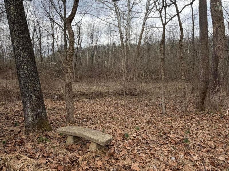 8900 Salem Road, Athens, OH 45701 Photo 26