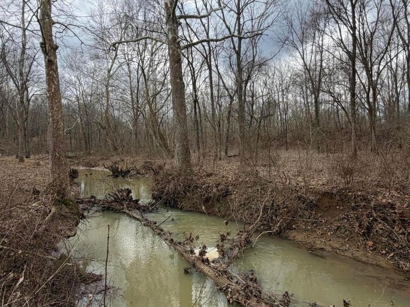 8900 Salem Road, Athens, OH 45701 Photo 28