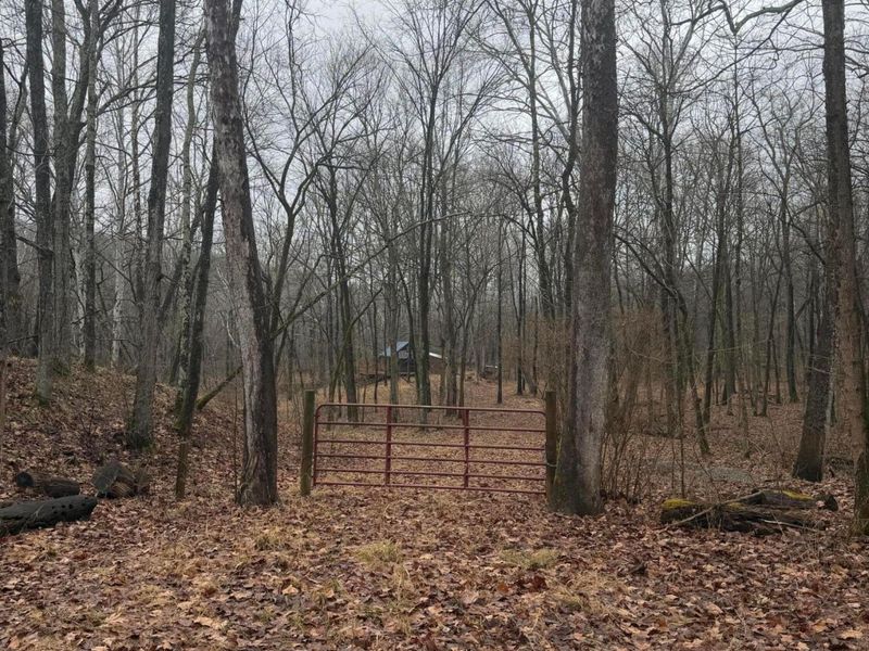 8900 Salem Road, Athens, OH 45701 Photo 3