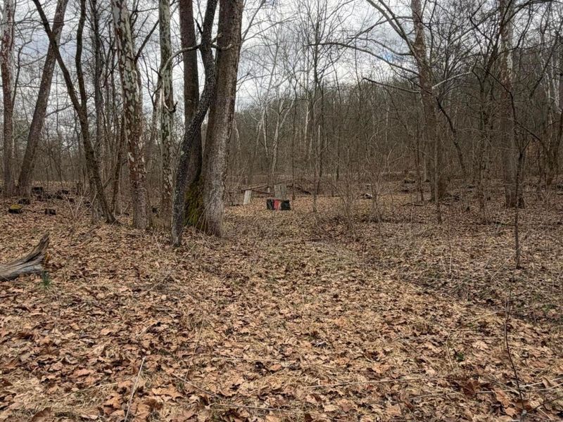 8900 Salem Road, Athens, OH 45701 Photo 5