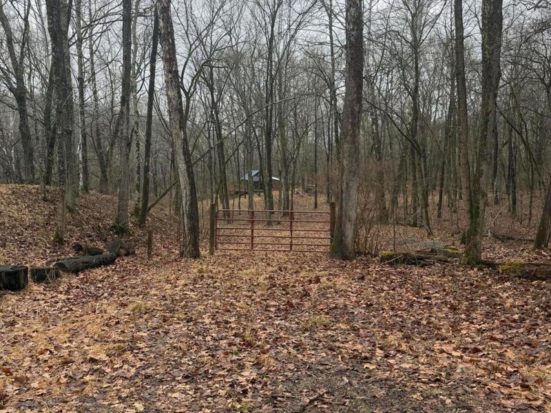 8900 Salem Road, Athens, OH 45701 Photo 6