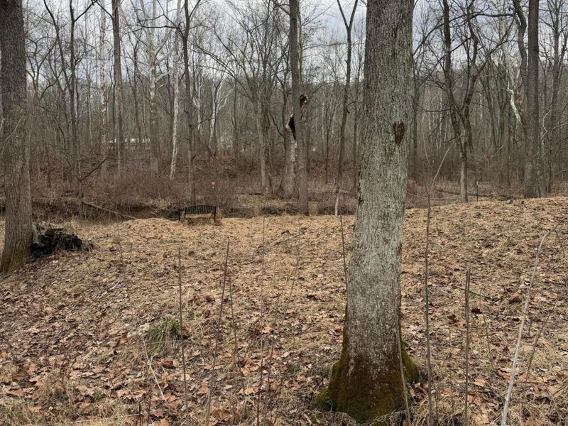 8900 Salem Road, Athens, OH 45701 Photo 9