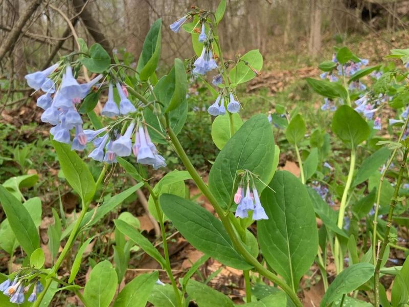 8900 Salem Road, Athens, OH 45701 Photo 9