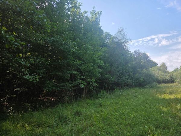 7326 Ohio 19, Unit 10 Lo, Mount Gilead, OH 43338