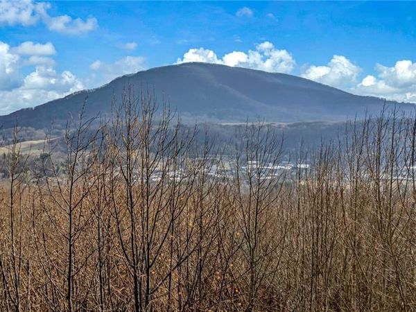 TBD 10 Townview Street , West Jefferson, NC 28694