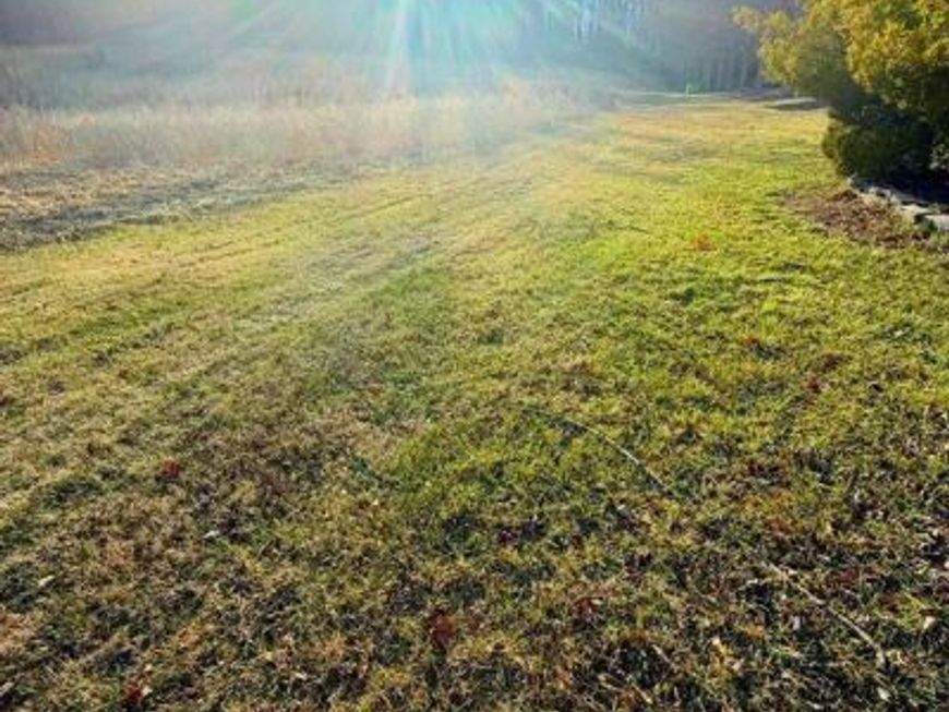 Winchester Road, Cresaptown, MD 21502 Main Photo