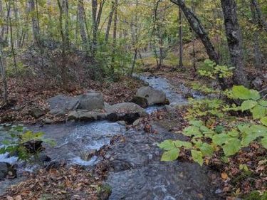 TBD PERRY LANE , LOVINGSTON, VA 22949