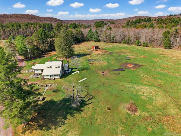 85 Lenape Lake Road, Livingston Manor, NY 12758