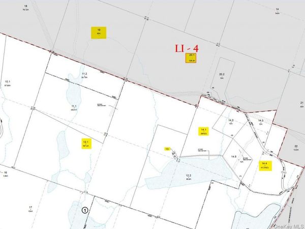 85 Lenape Lake Road, Livingston Manor, NY 12758