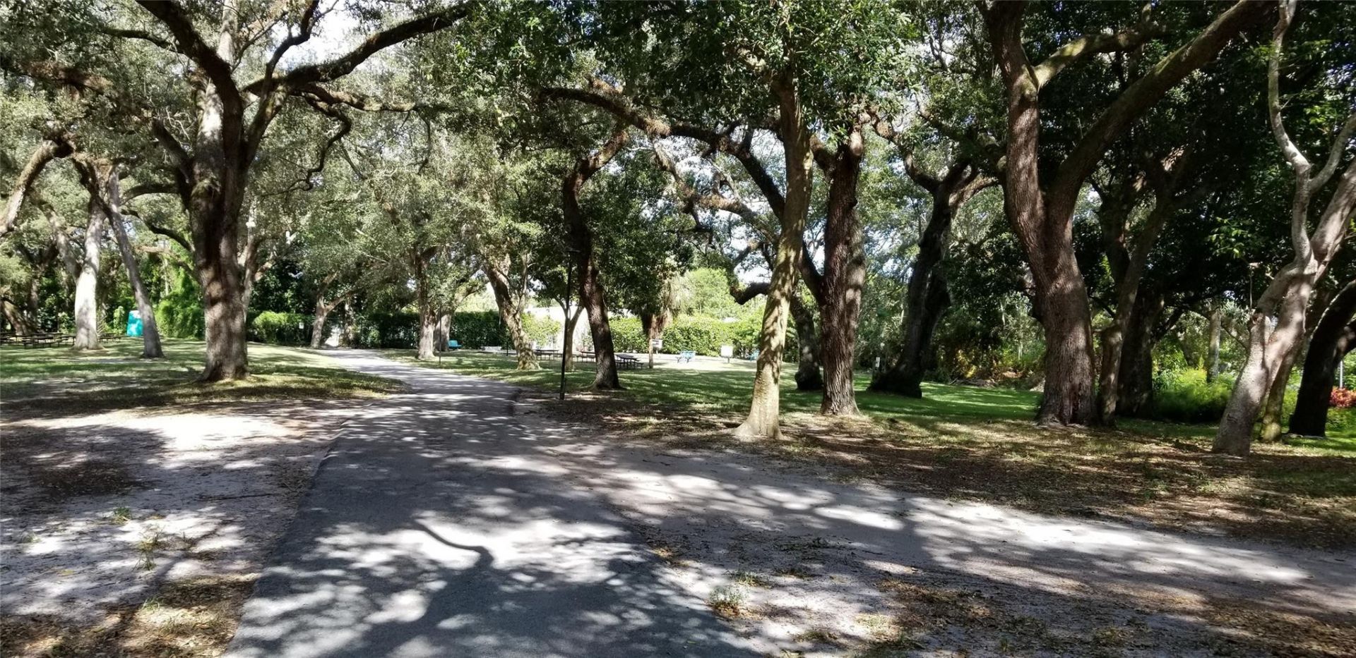 1831 Sabal Palm Drive, Unit 105, Davie, FL 33324 Photo