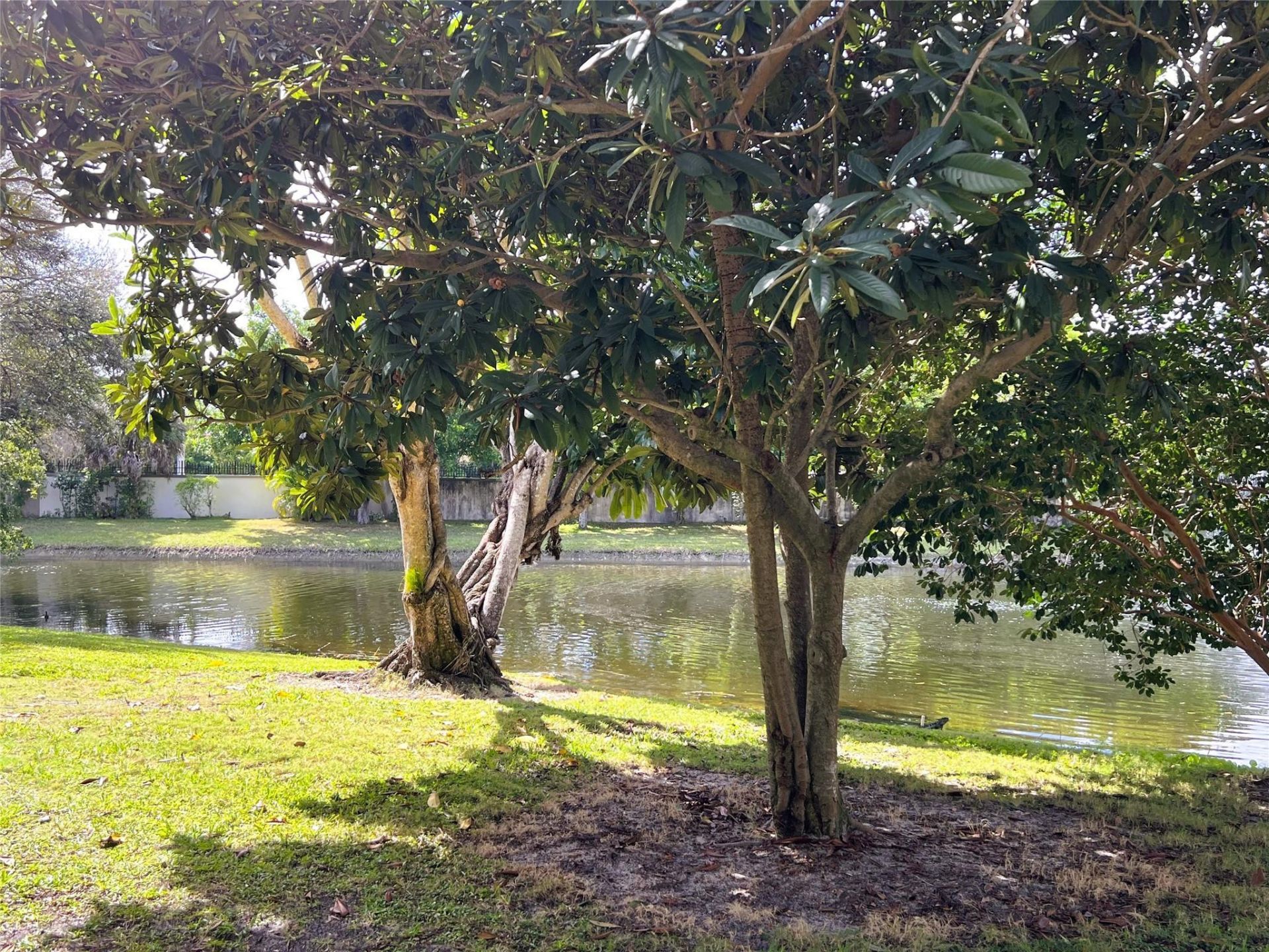 2502 Antigua Terrace, Unit K-1, Coconut Creek, FL 33066 Photo