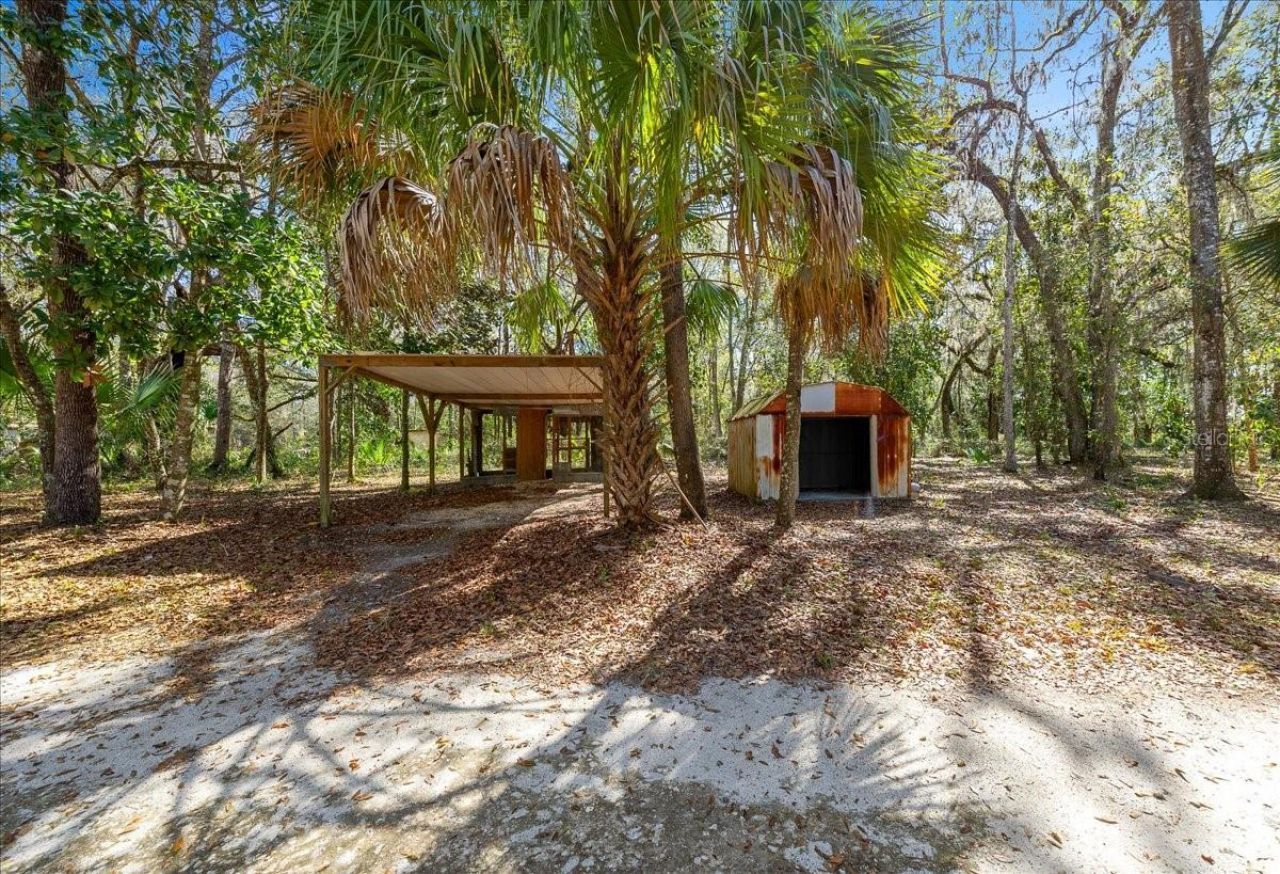 5590 E Highway 316, Citra, FL 32113 Photo