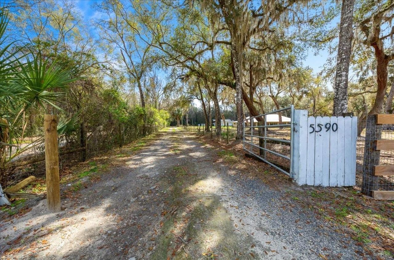 5590 E Highway 316, Citra, FL 32113 Photo