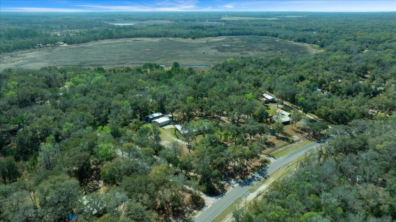 5590 E Highway 316, Citra, FL 32113 Photo