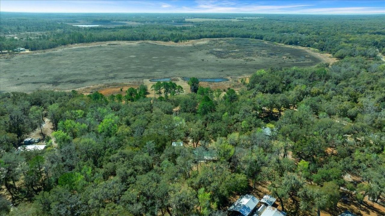 5590 E Highway 316, Citra, FL 32113 Photo