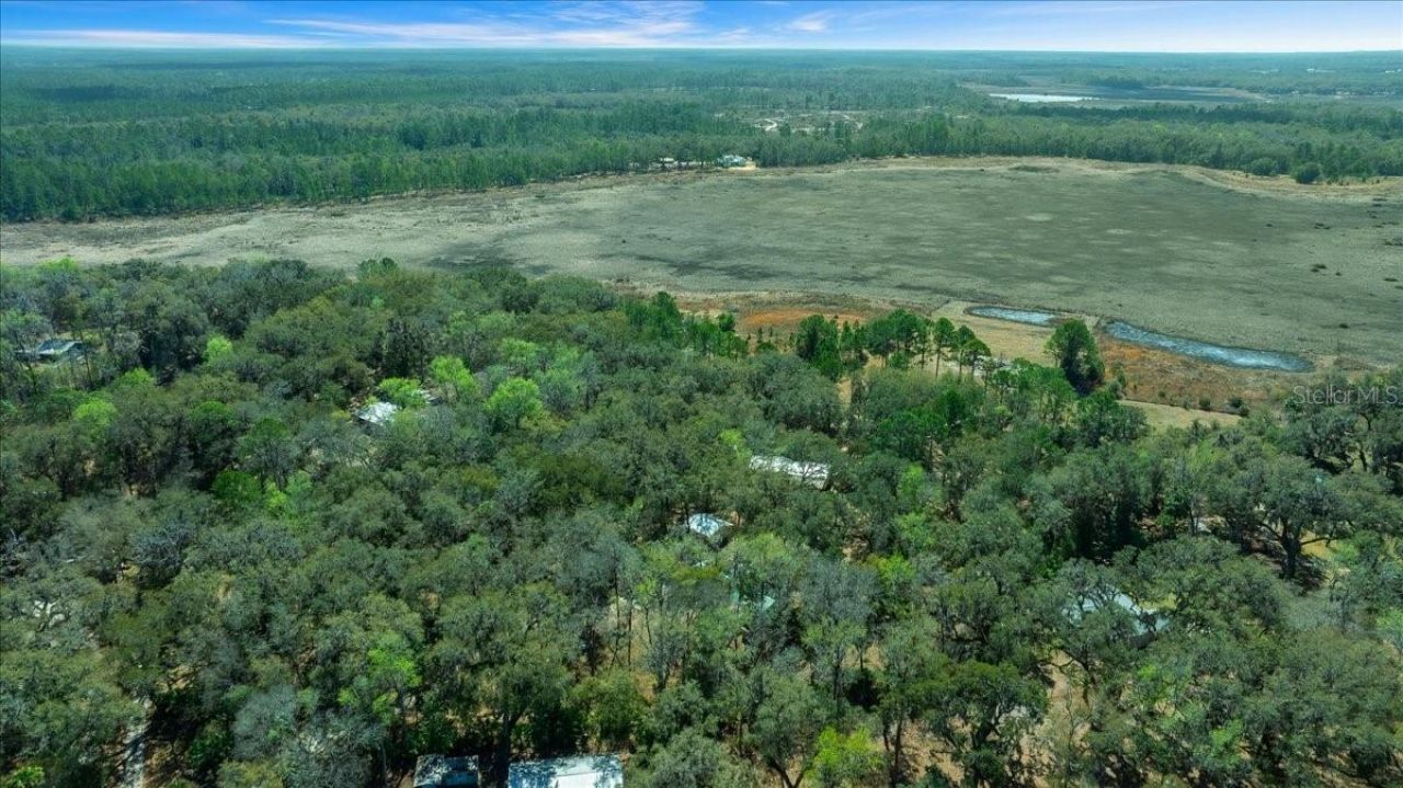 5590 E Highway 316, Citra, FL 32113 Photo