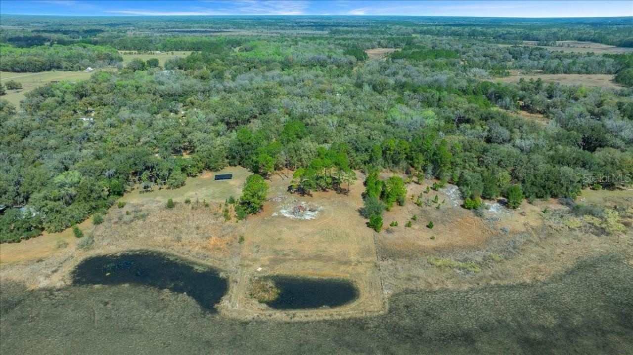 5590 E Highway 316, Citra, FL 32113 Photo