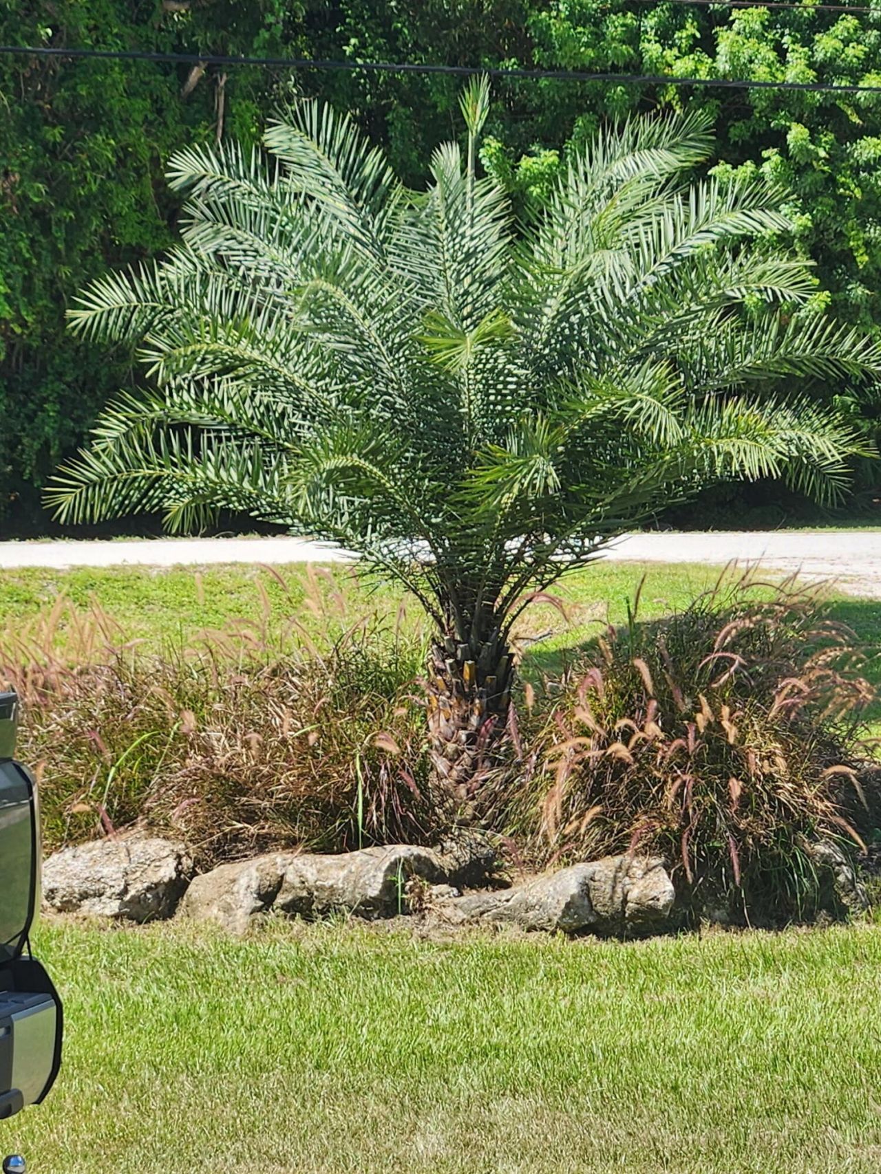 11158 51st Court N, The Acreage, FL 33411 Photo