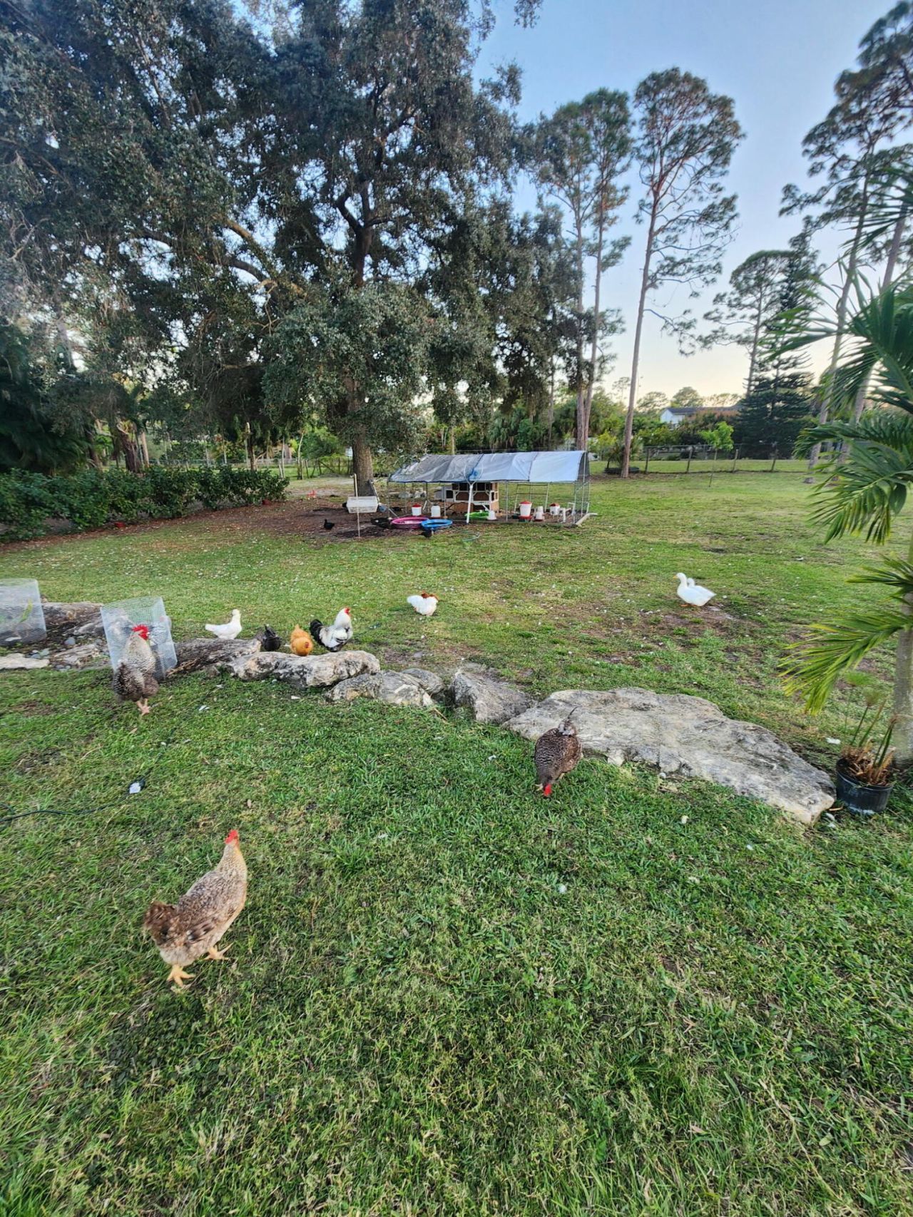 11158 51st Court N, The Acreage, FL 33411 Photo