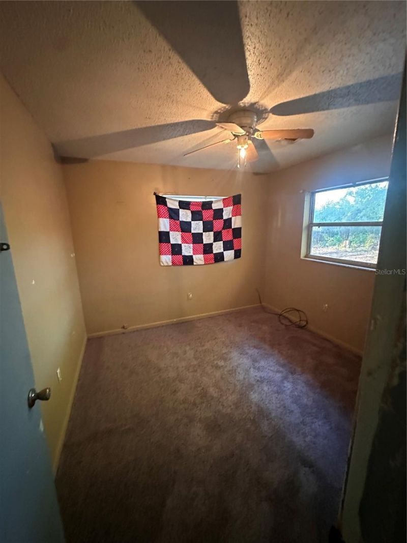 15595 NW 27th Avenue, Citra, FL 32113 Photo