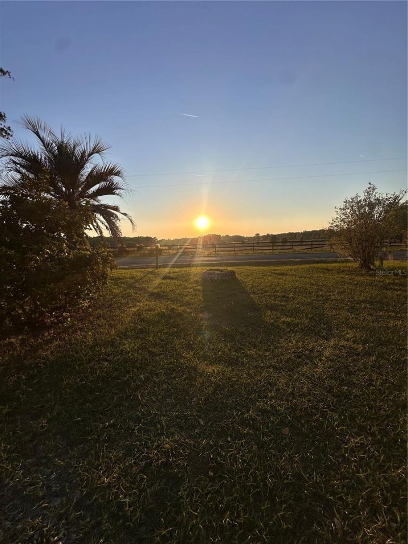 15595 NW 27th Avenue, Citra, FL 32113 Photo