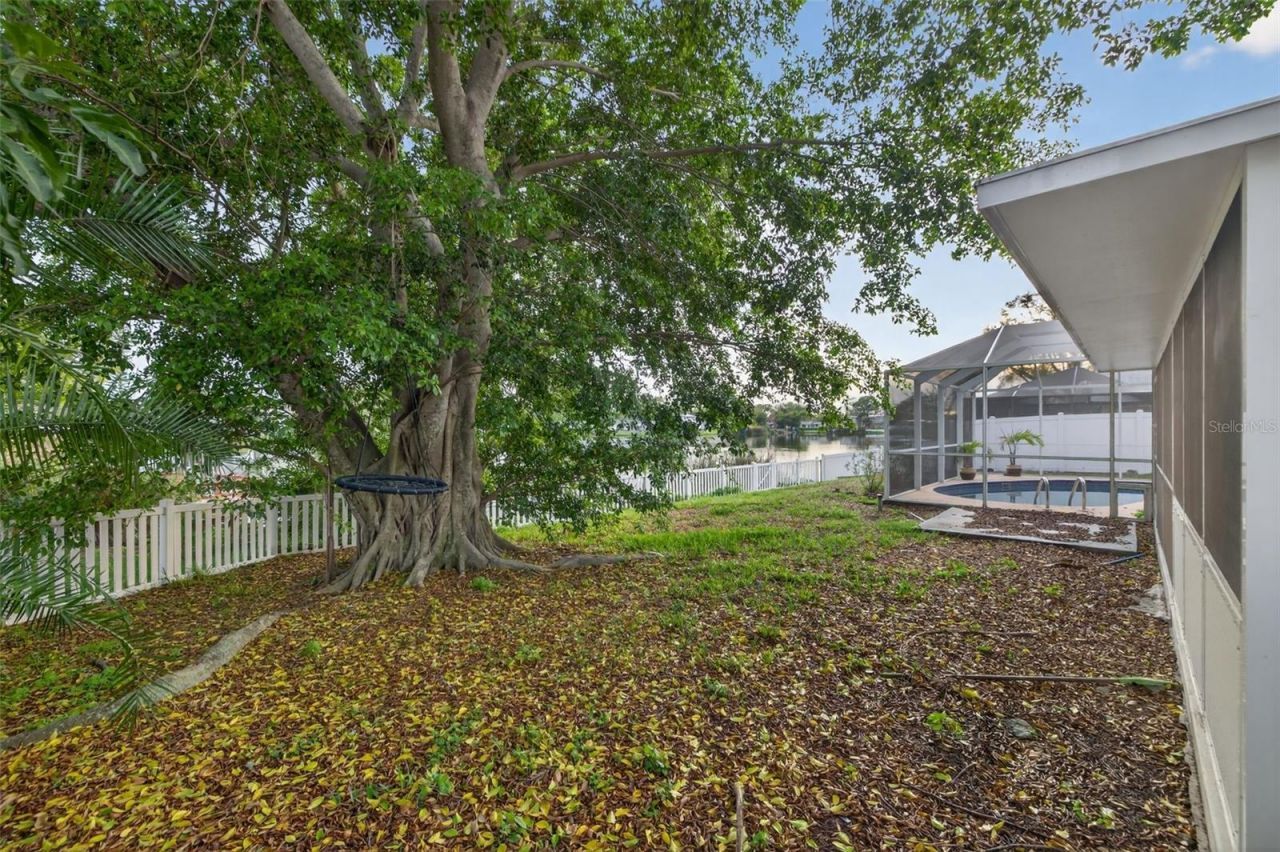 1414 85th Avenue N, Saint Petersburg, FL 33702 Photo