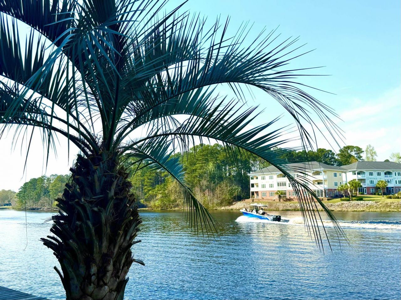 1425 Teague Rd. Photo 37