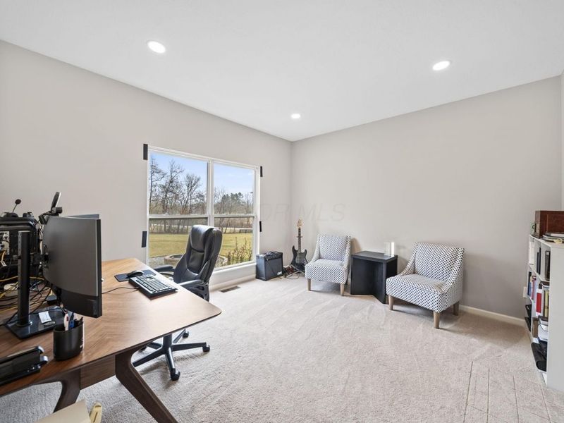 224 Hawking Drive, Galena, OH 43021 Photo 39