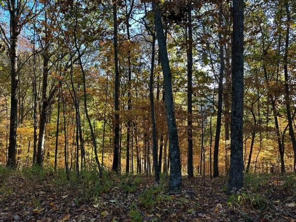 373 Old Hwy 18 , Tennessee Ridge, TN 37178